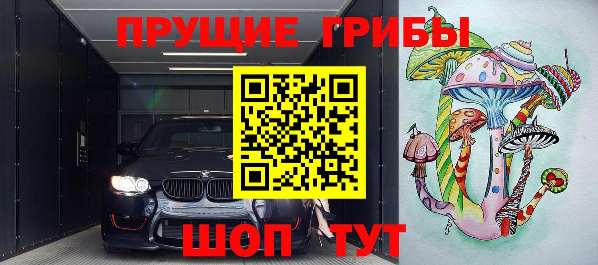 Котовск  Псилоцибиновые грибы MAGIC MUSHROOMS  Вход с VPN 