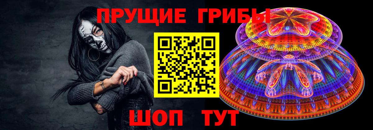 Псилоцибиновые грибы мицелий Котовск